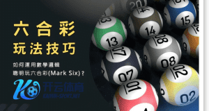 球友体育彩票六合彩玩法 - 投注技巧